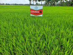 Bayer ra mắt giải pháp mới giúp nhà nông quản lý cỏ hiệu quả