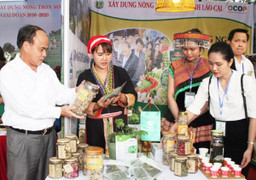 Tuyên Quang đồng hành cùng hợp tác xã