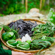 Thuận Thiên - Làm nông nghiệp bằng sự tinh tế, tỉ mỉ và sáng tạo