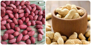 Những người không nên ăn lạc