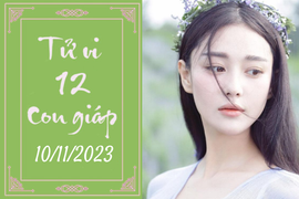 Tử vi vui 12 con giáp hôm nay ngày 10/11/2023: Dậu áp lực, Thìn cải thiện