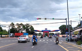 Dừng đèn đỏ dưới bóng cây có thể bị phạt?