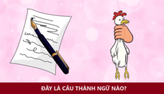 Người IQ cao đoán ra ngay thành ngữ này
