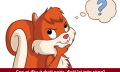 Đố bạn con gì đầu ở dưới nước, đuôi lại trên rừng?