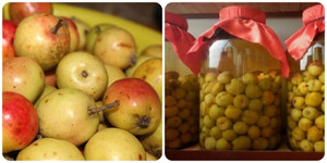 Rượu táo mèo có tác dụng gì?