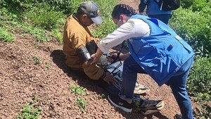 Nhóm bắt cóc trả tự do cho cha của tiền đạo Liverpool