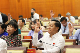 HĐND TP.HCM triệu tập kỳ họp đánh giá kinh tế - xã hội 6 tháng đầu năm 