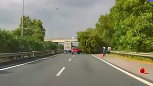 Cưa hạ cây trên cao tốc Cầu Giẽ - Ninh Bình suýt gây tai nạn