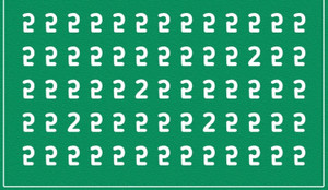 Trong 10 giây, đố bạn nhận ra có mấy số 2 trong hình?