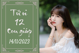 Tử vi vui 12 con giáp hôm nay ngày 14/11/2023: Ngọ tận hưởng, Dần tài giỏi