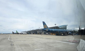 Chó chạy vào sân bay Đà Nẵng, máy bay phải lượn vòng