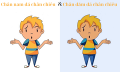 'Chân nam đá chân chiêu' hay 'Chân đăm đá chân chiêu' mới đúng?