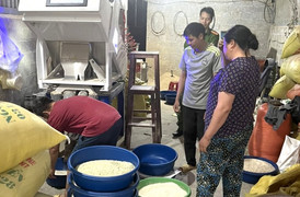 Lào Cai: Phát hiện cơ sở nhuộm 'gạo Séng cù' từ lá dứa