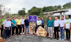 PVFCCo tổ chức phát động chương trình trồng cây xanh tại TP. Phan Thiết