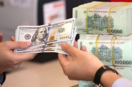 Giá USD ngân hàng xuống dưới 24.500 đồng/USD