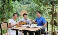 Cơ ngơi của 3 'ông hoàng nhạc đỏ': Biệt thự, nhà vườn rộng hàng nghìn mét vuông