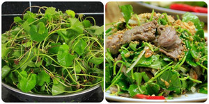 Công dụng của rau má với sức khoẻ ít người biết