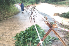 Quảng Ngãi: Đèo Vi Ô Lắc sạt lở nặng, xuất hiện loạt vết nứt lớn