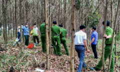 Phát hiện xác chết đã phân hủy trong rừng tràm ở Hà Tĩnh