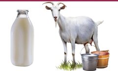 3 giây cho câu đố đuổi hình bắt chữ: Đây là tỉnh nào?