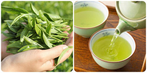 Công dụng của nước chè xanh với sức khoẻ