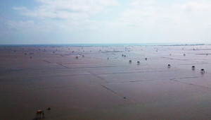 Thái Bình: 3 người mất tích khi đi bắt ngao, đã tìm thấy thi thể 1 nạn nhân