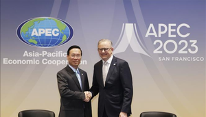 Chủ tịch nước Võ Văn Thưởng gặp Thủ tướng Australia nhân dịp dự HNCC APEC 2023