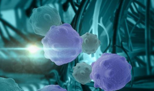 Hai loại gia vị quen thuộc là 'khắc tinh' của ung thư