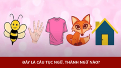 Người IQ cao sẽ đoán ra ngay đây là câu thành ngữ nào