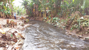 Nước hôi thối từ bãi rác 'đầu độc' khu dân cư ở Đà Nẵng: Chủ đầu tư nói gì?