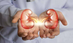 Nam giới đi tiểu bao nhiêu lần trong ngày là chứng tỏ thận còn khỏe?