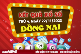 Kết quả xổ số Đồng Nai hôm nay 22/11 - XSDN 22/11/2023 