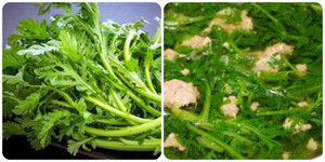 Công dụng của rau cải cúc ít người biết