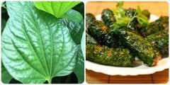 Điều gì sẽ xảy ra nếu bạn thường xuyên ăn lá lốt?