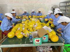 Hòa Bình xuất khẩu nhiều mặt hàng nông sản, sản lượng tăng vọt từng năm