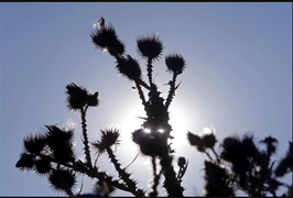 Nhiệt độ trái đất có nguy cơ tăng thêm 2,9 độ C 