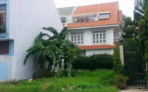 Bỏ hàng trăm triệu đồng mua đất xen kẹt ở Hà Nội rồi để...trồng rau