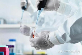 Lén đưa con đi xét nghiệm ADN, người đàn ông phát hiện bí mật động trời của vợ