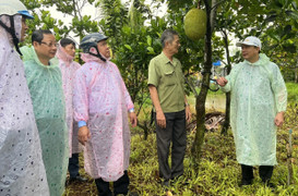 Cà Mau: Triển khai chương trình giảm nghèo bền vững có hiệu quả