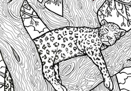 Mắt bạn quá kém nếu không nhìn thấy con cá trong 10 giây