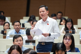 ĐBQH: Phải xác định chủ sở hữu thực sự mới ngăn được thao túng ngân hàng