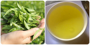 Nên uống chè xanh bao nhiêu mỗi ngày?