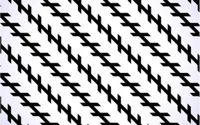 Đố bạn những đường chéo này có song song với nhau?