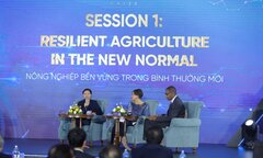 Nhà khoa học Việt kiều: VinFuture nâng cao uy tín và vị thế quốc tế của Việt Nam