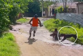 Chết cười với các màn tẩu thoát khi bị chó đuổi