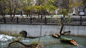 Gặp bão thế kỷ, Crimea tuyên bố tình trạng khẩn cấp