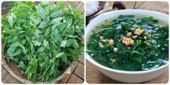 Rau ngót cực bổ dưỡng nhưng 'đại kỵ' với 3 nhóm người này