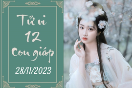 Tử vi vui 12 con giáp hôm nay ngày 28/11/2023: Hợi tâm đắc, Dần vương vấn