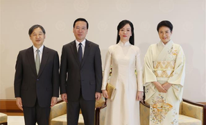 Chủ tịch nước Võ Văn Thưởng hội kiến với Nhà vua Nhật Bản Naruhito