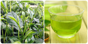 Nước chè xanh rất tốt nhưng 5 nhóm người này chớ nên uống